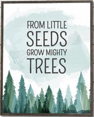 seeds