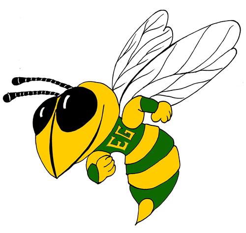 Hornet 